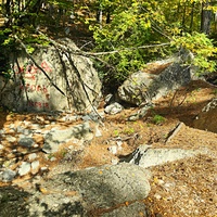 Около родника Баба-Али Текне на  Кореизской тропе в Ялтинском горно-лесном заповеднике.