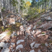 Около родника Баба-Али Текне вдоль Кореизской тропы в Ялтинском горно-лесном заповеднике.
