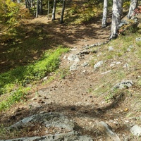 Вдоль Кореизской тропы в Ялтинском горно-лесном заповеднике. Место пересечения с Мисхорской тропой.