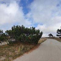 На плато Ай-Петри. Дорога от горы Ай-Петри к посёлку Охотничье.