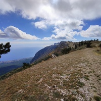 Ай-Петринская яйла вдоль дороги к пос. Охотничье. В центре белые полоски - крутой поворот Бахчисарайского шоссе (дорожный серпантин, "тёщин язык"). Вид на  черноморскую акваторию и побережье с застройкой Кореиза.