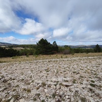 Ай-Петринская яйла вдоль дороги к пос. Охотничье.