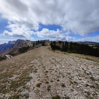 Ай-Петринская яйла вдоль дороги к пос. Охотничье. В центре белые полоски - крутой поворот Бахчисарайского шоссе (дорожный серпантин, "тёщин язык"). Вдали - вершина и зубцы Ай-Петри.
