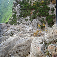 На вершине г. Ай-Петри. Вид на обрыв и скальную растительность.