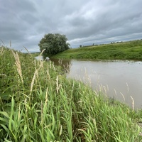 Река Барсук