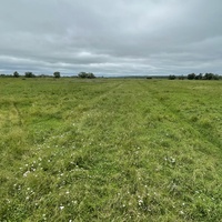 Прямая старая дорога к Большому мосту