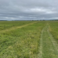 Новая дорога отклонилась от старой дороги