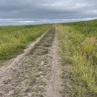 Ровная дорога бывшего Сибирского тракта