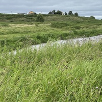 За рекой начало улицы Заречной