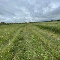 Через мост продолжается ровная дорога бывшего Сибирского тракта