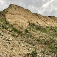 Собачья гора