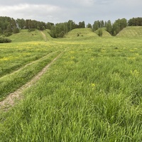 Дорога к Собачьей горе