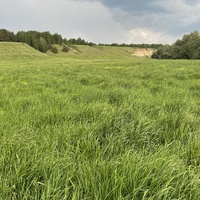Вдали Собачья гора