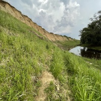 Собачья гора