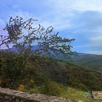 Окрестности села Верхняя Кутузовка.