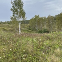 Лог с речкой