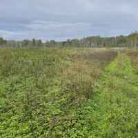 Бывшая улица