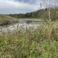 Речка Калманка