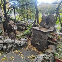 На территории кафе «Крымский дворик Улу-узень» недалеко от водопада Джур-Джур.