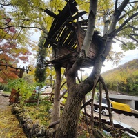 На территории кафе «Крымский дворик Улу-узень» недалеко от водопада Джур-Джур.