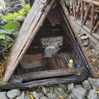 На территории кафе «Крымский дворик Улу-узень» недалеко от водопада Джур-Джур.