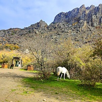 У подножия горы Южная Демерджи.