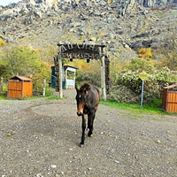 У подножия горы Южная Демерджи.