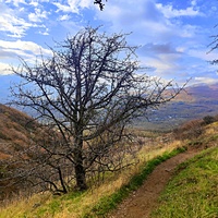 На склоне горы Южная Демерджи.