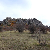 На склоне горы Южная Демерджи.