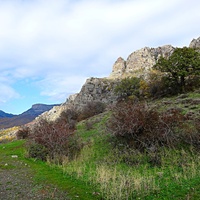 На склоне горы Южная Демерджи.