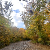 Дорога от кафе «Крымский дворик Улу-узень» к водопаду Джур-Джур.