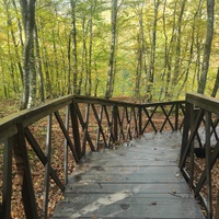 Экотропа с деревянными ступенями и перилами к водопаду Джур-Джур на реке Улу-узень по территории гос. природного гидрологического заказника регионального значения «Хапхальский».