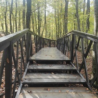 Экотропа с деревянными ступенями и перилами к водопаду Джур-Джур на реке Улу-узень по территории гос. природного гидрологического заказника регионального значения «Хапхальский».