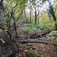 Вдоль экотропы к водопаду Джур-Джур на реке Улу-узень по территории гос. природного гидрологического заказника регионального значения «Хапхальский».