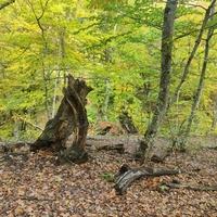 Вдоль экотропы к водопаду Джур-Джур на реке Улу-узень по территории гос. природного гидрологического заказника регионального значения «Хапхальский».