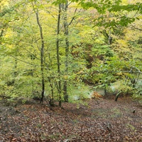 Вдоль экотропы к водопаду Джур-Джур на реке Улу-узень по территории гос. природного гидрологического заказника регионального значения «Хапхальский».