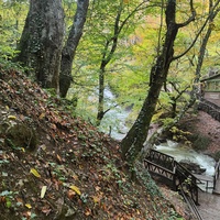 Вдоль экотропы к водопаду Джур-Джур на реке Улу-узень по территории гос. природного гидрологического заказника регионального значения «Хапхальский».