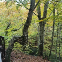 Вдоль экотропы к водопаду Джур-Джур на реке Улу-узень по территории гос. природного гидрологического заказника регионального значения «Хапхальский».