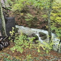 Вдоль экотропы к водопаду Джур-Джур на реке Улу-узень по территории гос. природного гидрологического заказника регионального значения «Хапхальский».