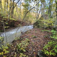 Рядом с началом экотропы к водопаду Джур-Джур на реке Улу-узень по территории гос. природного гидрологического заказника регионального значения «Хапхальский».