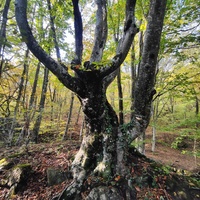 Рядом с началом экотропы к водопаду Джур-Джур на реке Улу-узень по территории гос. природного гидрологического заказника регионального значения «Хапхальский».