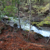 Рядом с началом экотропы к водопаду Джур-Джур на реке Улу-узень по территории гос. природного гидрологического заказника регионального значения «Хапхальский».