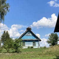 Хатка і буслы ў вёсцы