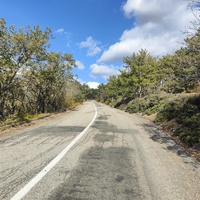 Дорога от Алуштинского шоссе к СОСЛ МЭИ "Алушта".