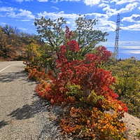 Вдоль дороги к СОСЛ МЭИ "Алушта" у побережья.