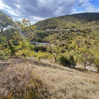 Холмы вдоль дороги к СОСЛ МЭИ "Алушта" и постройки на его территории у побережья.