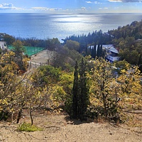 Вид на побережье и СОСЛ МЭИ "Алушта" с подъездной дороги.