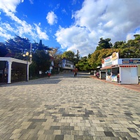 Кафе мороженое "33 пингвина" на Набережной улице.