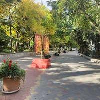 Аллея в Приморском парке.