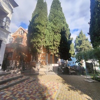 У входа в историко-краеведческий музей со стороны Приморского парка.